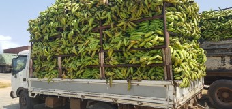 Angola é auto-suficiente em seis produtos alimentares