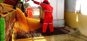 Empreendedores recebem 100 milhões de Kwanzas