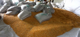 REA impacta no preço da farinha de trigo
