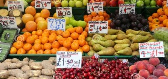 Benguela acolhe conferência sobre auto-suficiência alimentar