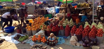 Observatório da Economia Informal inicia funções hoje