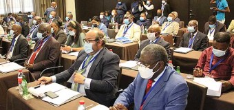 CPLP aborda votação no exterior