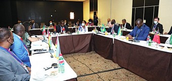 CNE lidera missão de observadores da comunidade