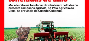 GOVERNO DE ANGOLA