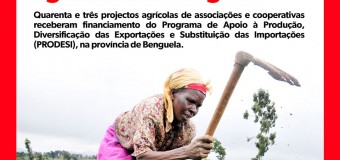 GOVERNO DE ANGOLA
