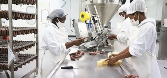 Investimentos crescem 78% na Zona Económica Especial
