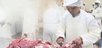 AUMENTO DA PRODUÇÃO INTERNA