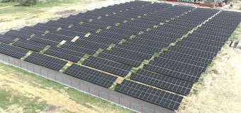 Toyota Company quer investir nas energias renováveis