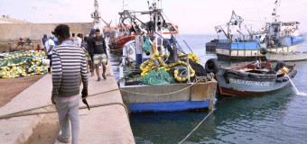 Pescas projecta melhores condições para investigação científica
