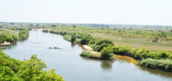EUA apoiam Angola no combate ao tráfico ilegal da vida selvagem